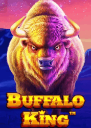 Buffalo King