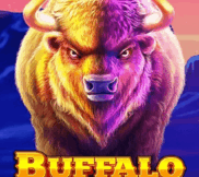 Buffalo King